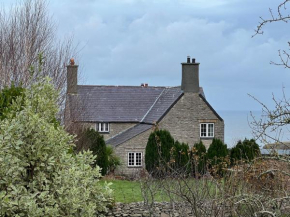 Plas Newydd Flower Farm